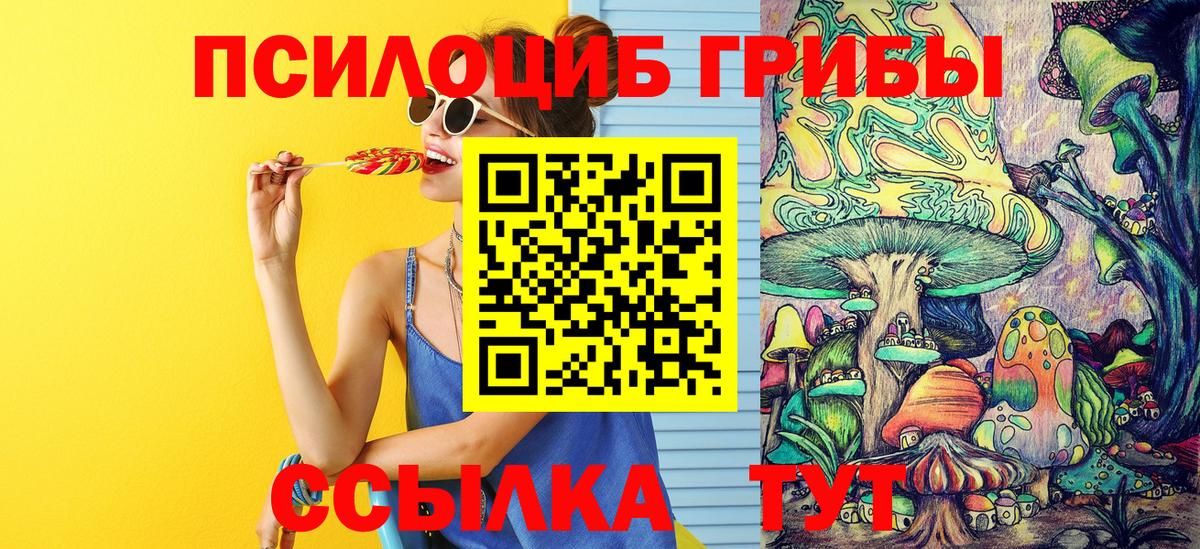 Галлюциногенные грибы Psilocybe Нефтеюганск